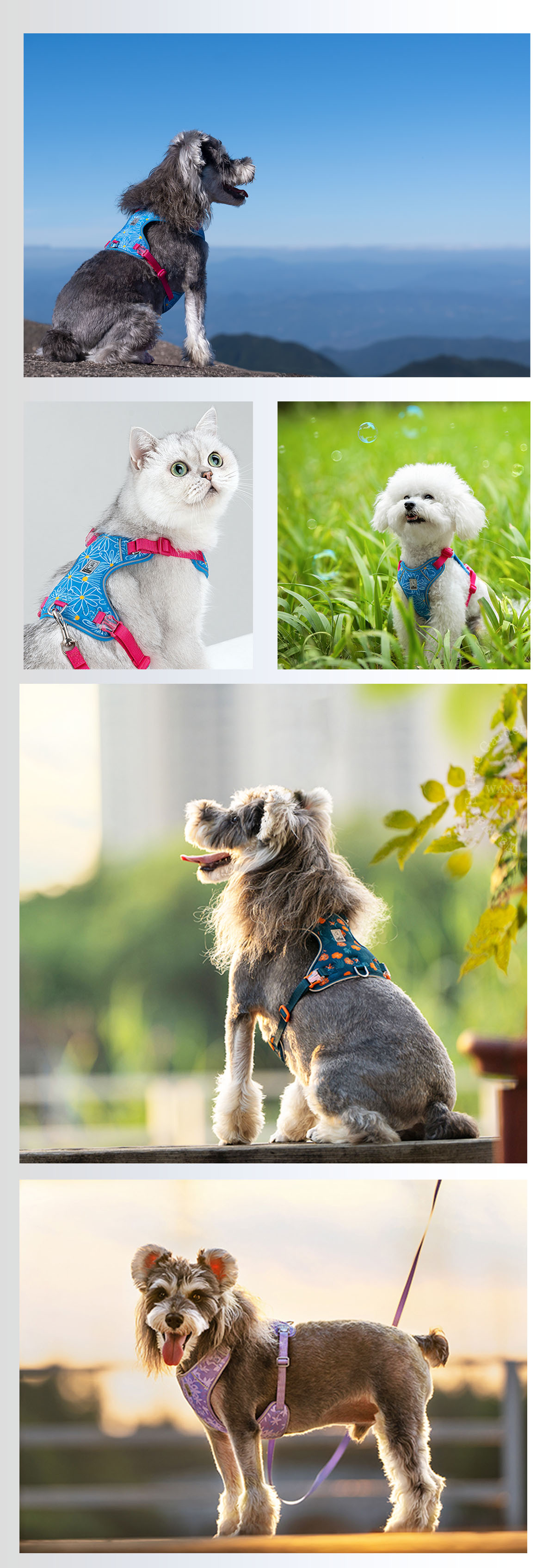 Truelove（トゥルーラブ） 犬 ハーネス リードセット 小型犬用 XXXS-XS