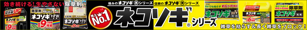 日本フイルター 簡易流量計FM2000シリーズ 20A 電池式 FM-2000-P-20-S-0-B 期間限定 ポイント10倍 計測、検査 