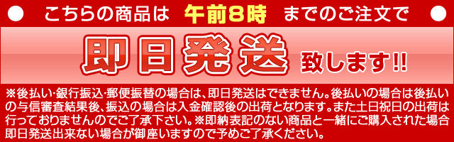 豆炭 バーベキュー 炭 2kg 燃料 アウトドア 木炭 BBQ コンロ エコロン炭 便利グッズ 火起こし :ECOLONGTAN:買援隊ヤフー店 -  通販 - Yahoo!ショッピング