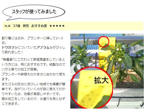 虫取りシート 黄色 吊るしてGET虫ミニ 10枚入り : 買援隊ヤフー 虫取りシート 黄色 吊るしてGET虫ミニ 10枚入り : 買援隊ヤフー