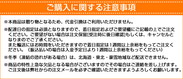 ご購入時の注意事項