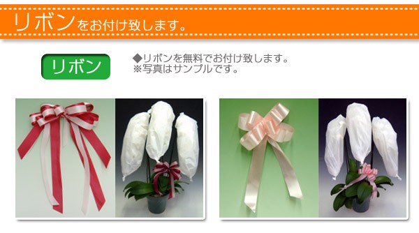 シングルリボン