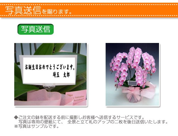 写真送付