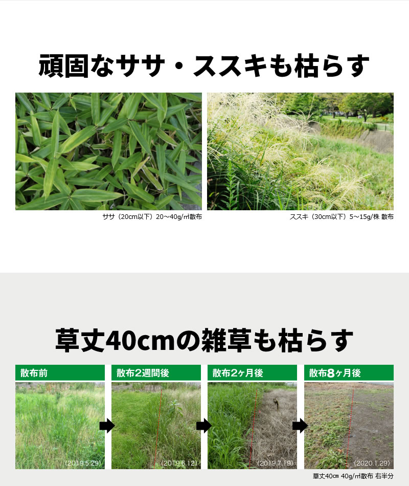 レインボー薬品 ネコソギトップW 10kg 粒剤 除草剤 - 通販 - nicevienna.at