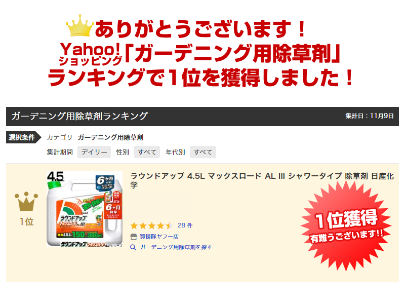 ランキング