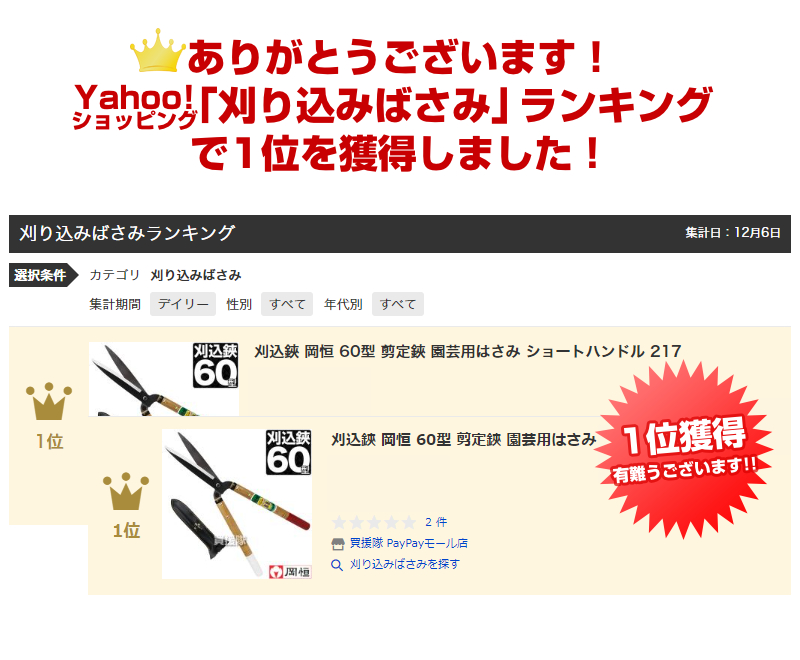 ランキング