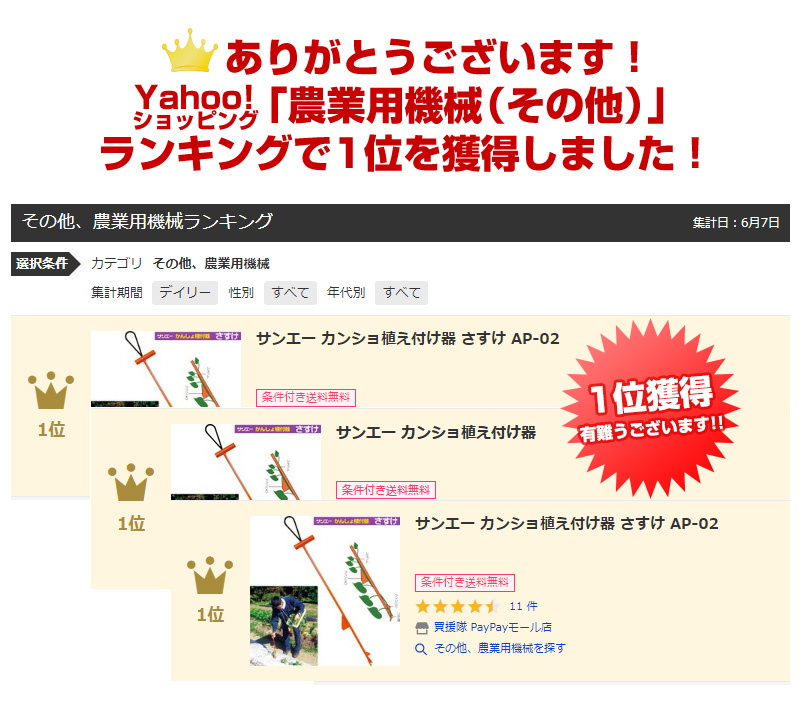 ランキング
