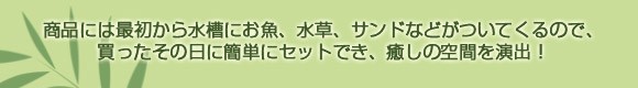 商品には最初から水槽にお魚、水草、サンドなどがついてくるの、買ったその日に簡単セットでき、癒しの空間を演出! 商品には最初から水槽にお魚、水草、サンドなどがついてくるの、買ったその日に簡単セットでき、癒しの空間を演出!