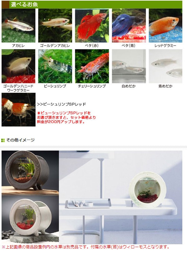 カミハタ 和風アクアリウム 陶器丸水槽セット :REGALO-TM:買援隊ヤフー店 - 通販 - Yahoo!ショッピング