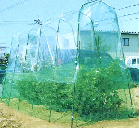 菜園防鳥仕様