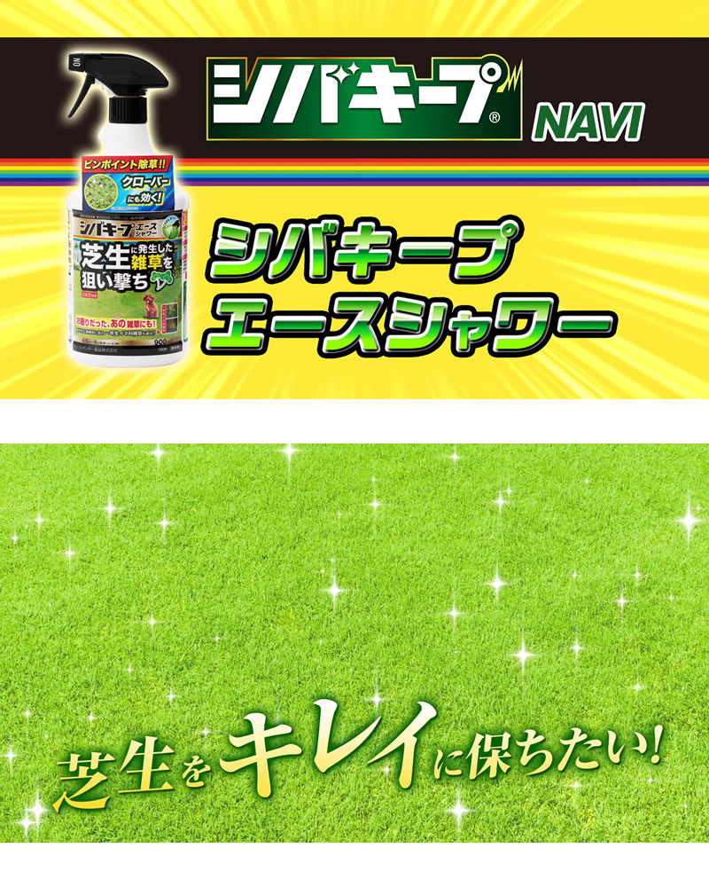 レインボー薬品 シバキープエースシャワー 900ml 32本 スプレータイプ 商品情報 納期について:【取寄】通常3〜5日の発送予定(土日祝除く)芝生は枯らさず雑草 レインボー薬品 シバキープエースシャワー 900ml 32本 スプレータイプ 商品情報 納期について:【取寄】通常3〜5日の発送予定(土日祝除く)芝生は枯らさず雑草