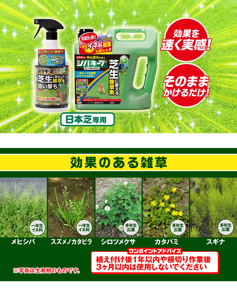 レインボー薬品 シバキープエースシャワー 900ml 32本 スプレータイプ 商品情報 納期について:【取寄】通常3〜5日の発送予定(土日祝除く)芝生は枯らさず雑草 レインボー薬品 シバキープエースシャワー 900ml 32本 スプレータイプ 商品情報 納期について:【取寄】通常3〜5日の発送予定(土日祝除く)芝生は枯らさず雑草