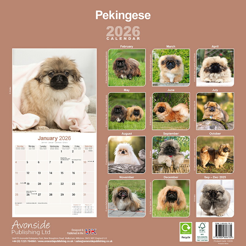ペキニーズ書籍4冊セット 本 洋書 写真 pekingese PEKINGESE 楽天市場