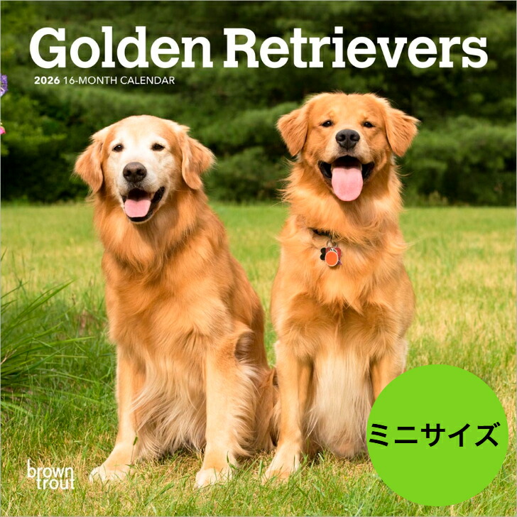 送料無料】カレンダー ゴールデンレトリバー 【ミニサイズ/壁掛け