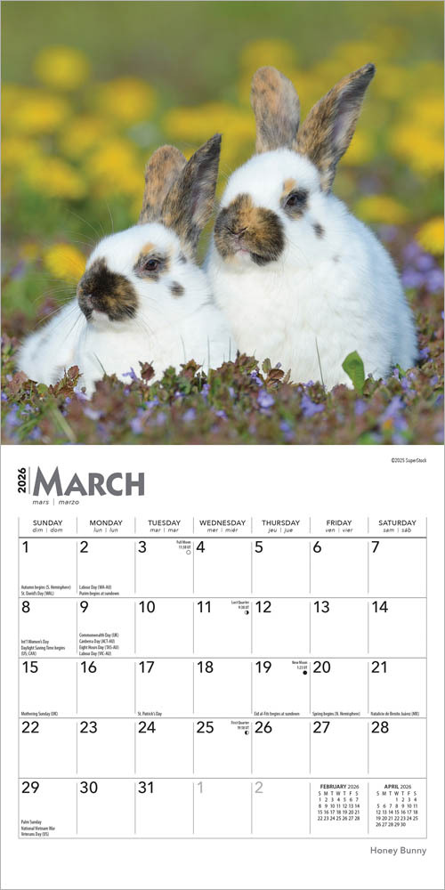 送料無料】カレンダー ウサギ・バニー 【ミニサイズ/壁掛け】 2026年