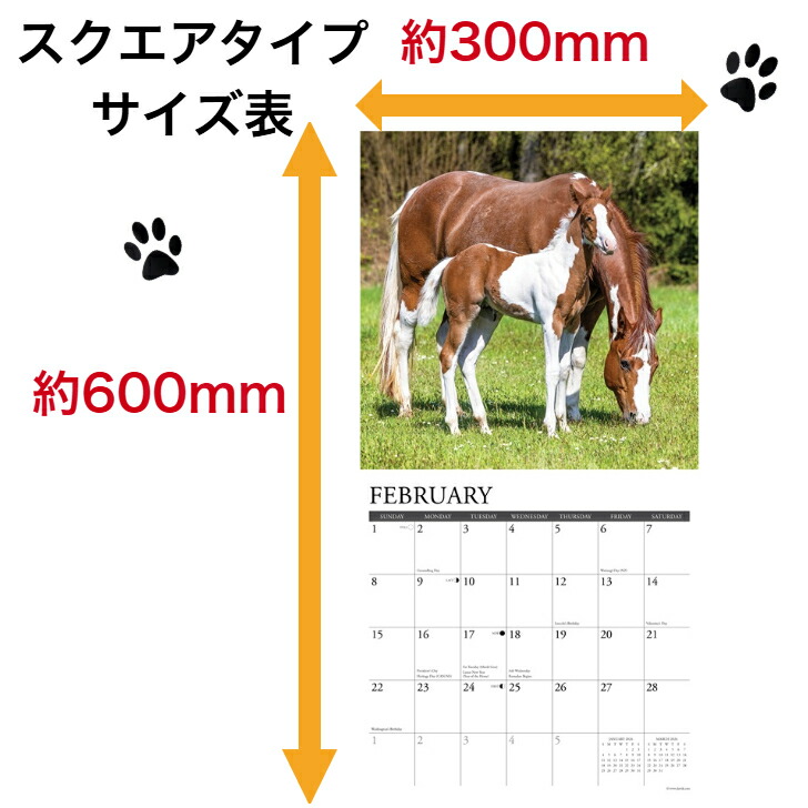 カレンダー ホースレーシング 競馬 【レギュラーサイズ/壁掛け