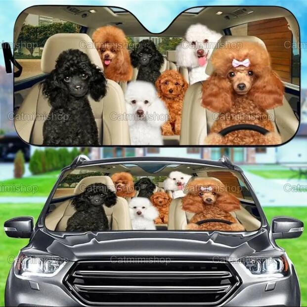 yzTVF[h v[h B gC ~j`A X^_[h    dog DOG ʔ 킢  ԑ悯  Ăh~ ̓