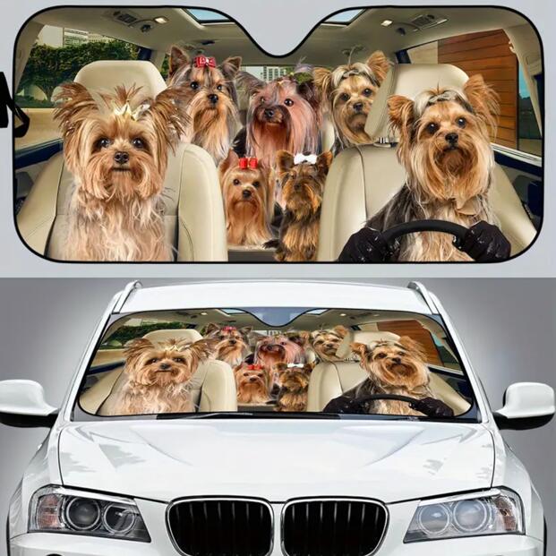 yzTVF[h [NV[eA [L[ B    dog DOG ʔ 킢  ԑ悯  Ăh~ tgKX