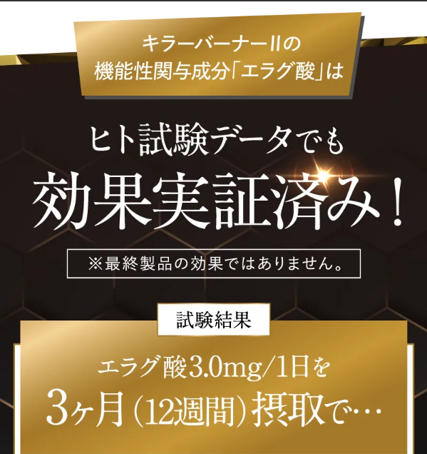 公式_正規販売店】 キラーバーナー II ダイエットサプリ 倖田來未