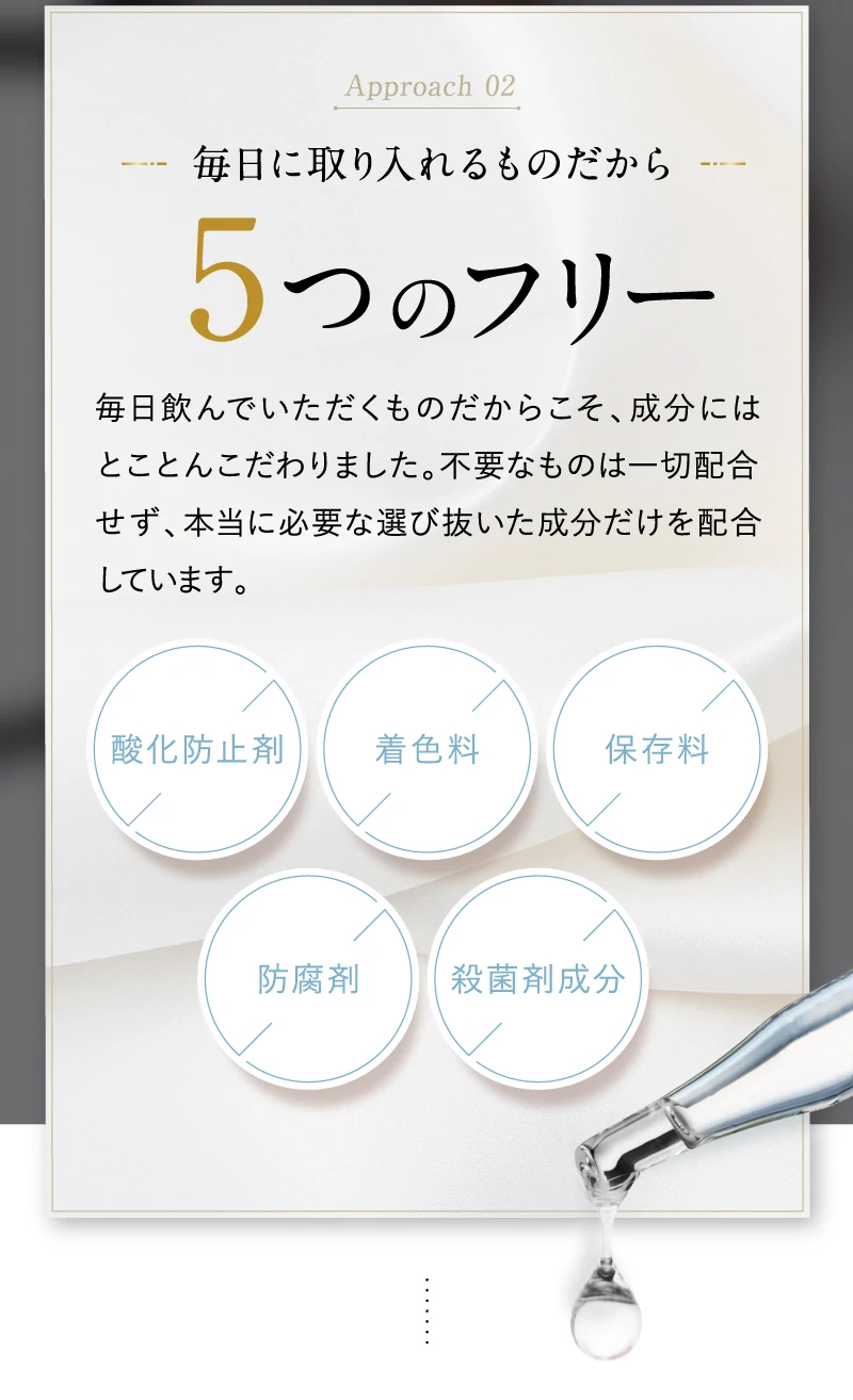 公式_正規販売店】 キラーバーナー 倖田來未完全プロデュース 1包 7.8kcal 15包入 KILLER BURNER サプリ : killer-burner  : TRUSTLINE - 通販 - Yahoo!ショッピング