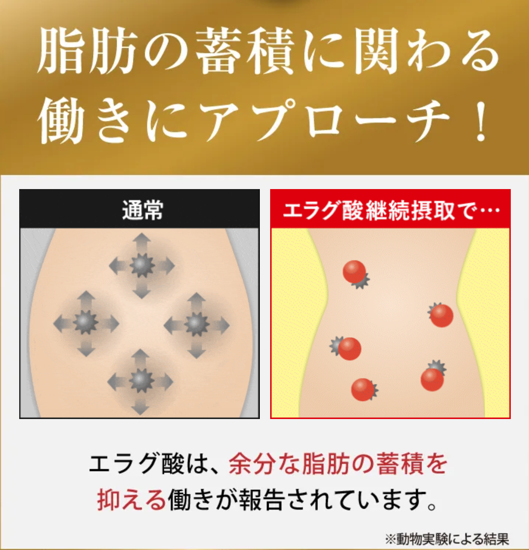【公式】キラーバーナー ドロップ 倖田來未 プ...の詳細画像3