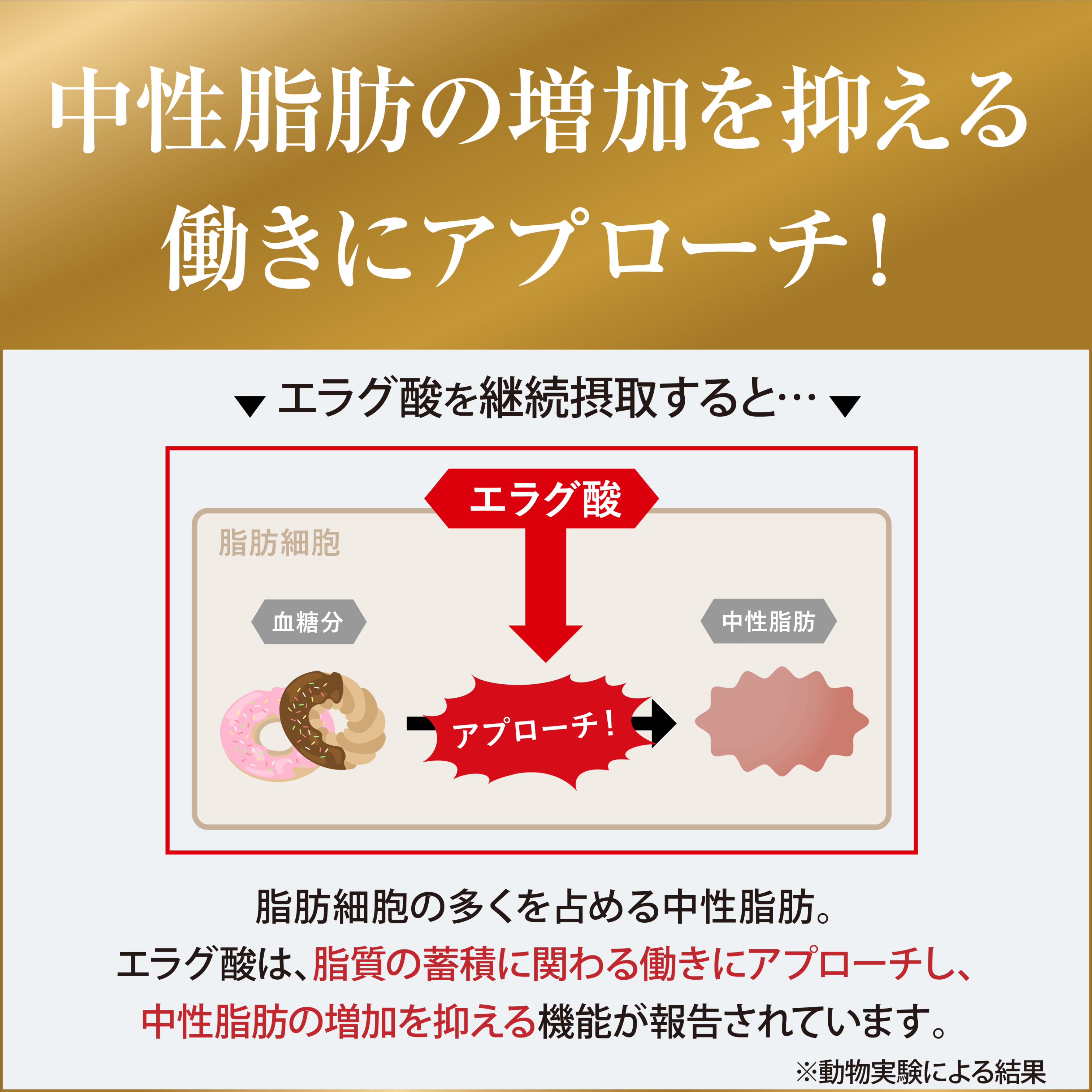 【公式】キラーバーナー ドロップ 倖田來未 プ...の詳細画像4