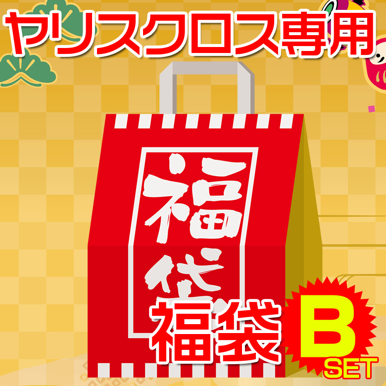 プロスタッフ 洗車用品 ポリマーメンテナンス 拭き取り吸水クロス