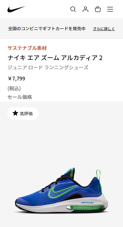 NIKE スニーカー キッズ エアズーム アルカディア 2 GS DM8491 ナイキ