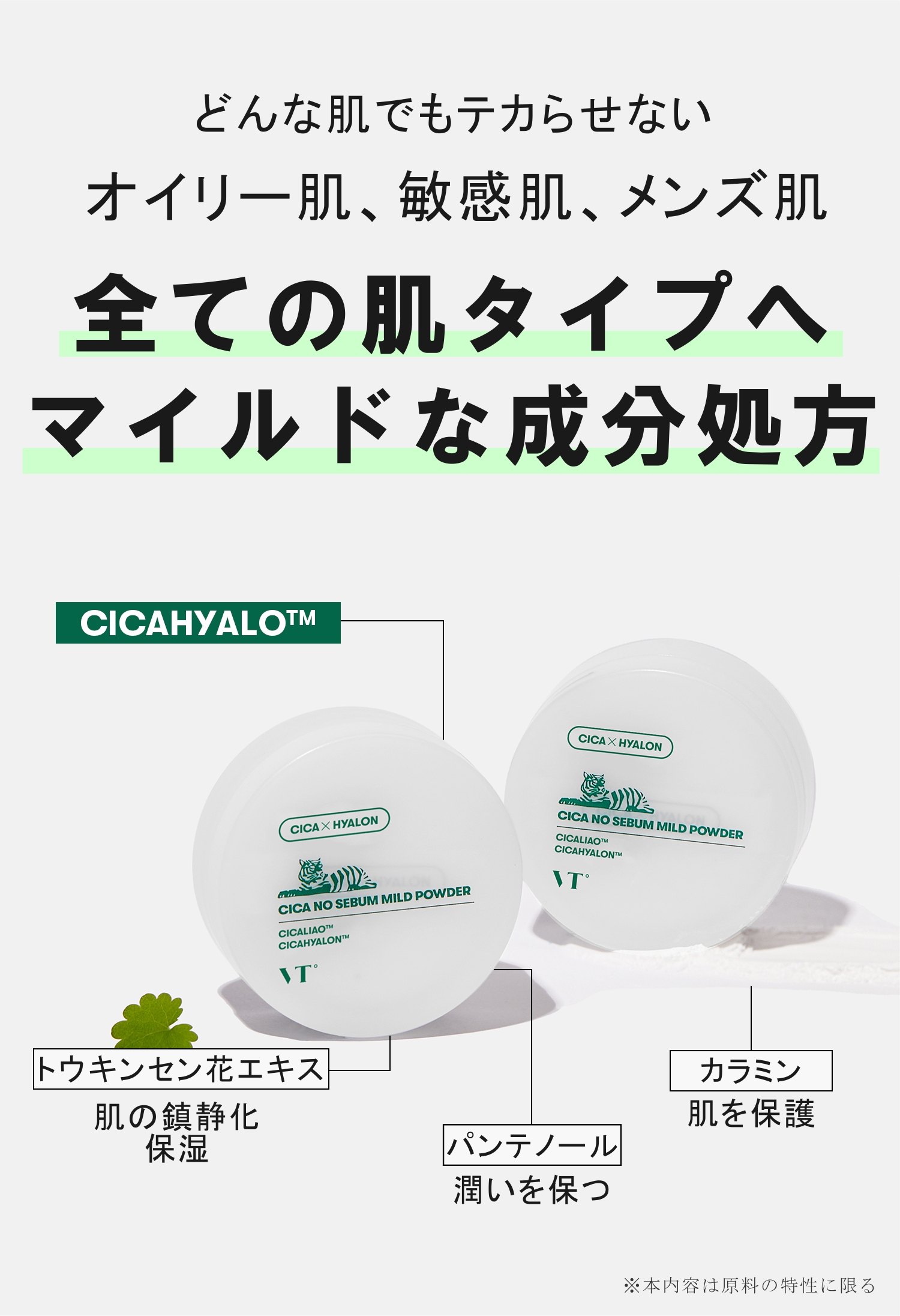 VT COSMETICS シカ ノーセバム マイルドパウダー 5g