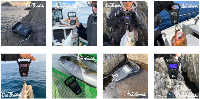 フィッシングスケールの使用写真