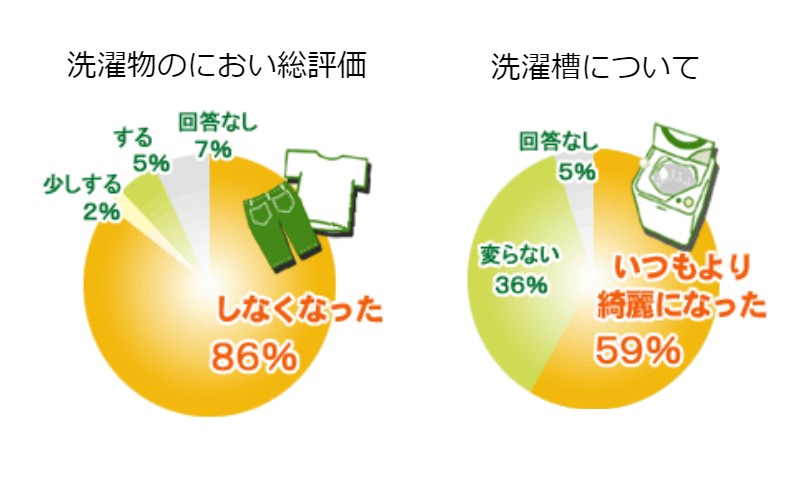 洗濯槽クリーナー 洗濯槽快 30g 10個セット ホタテ貝焼成カルシウム100 除菌 Www Arilab Com Tr Index Php