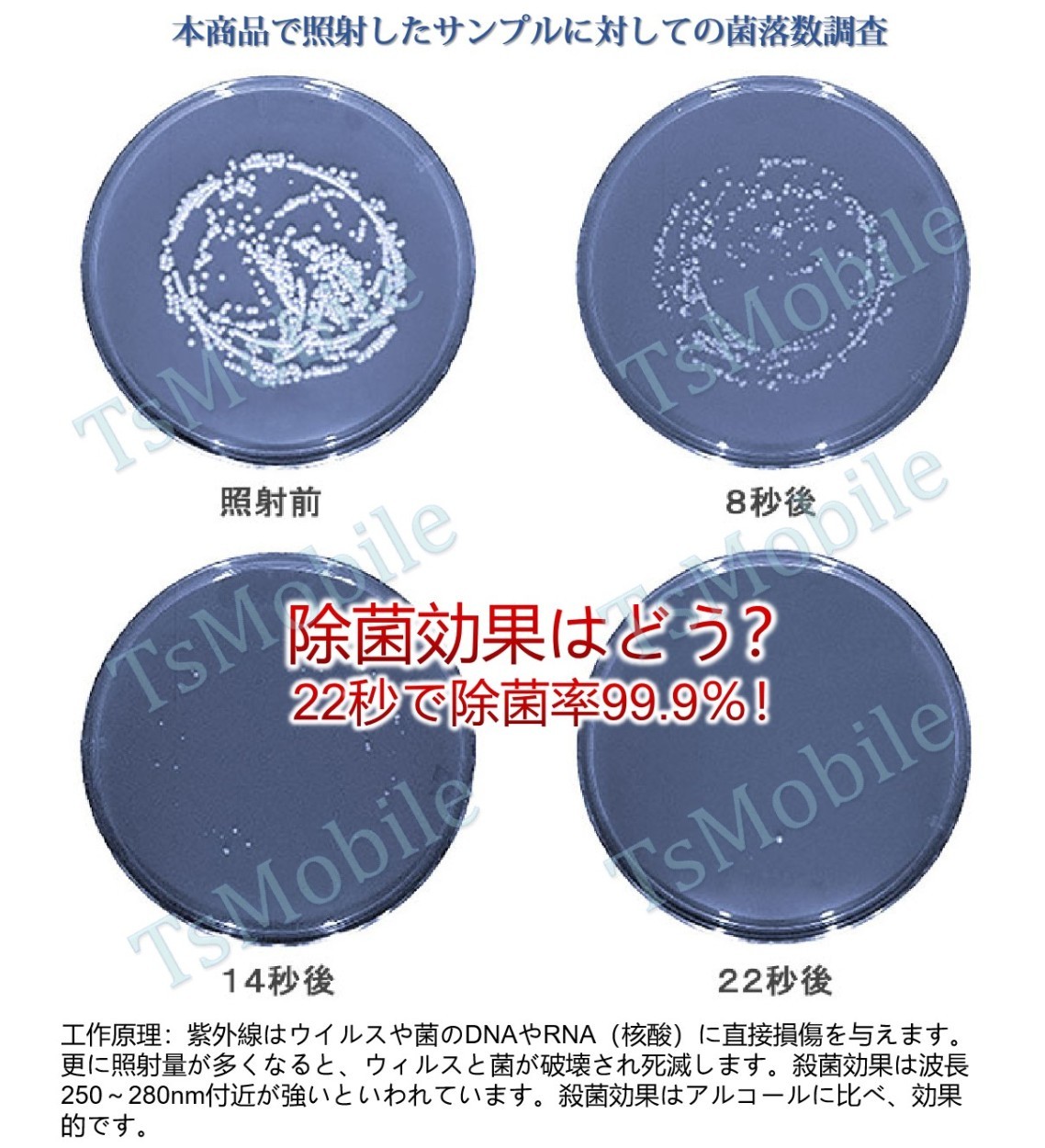 折り畳み 紫外線殺菌灯 UVC除菌器 ライト 殺菌 現金消毒 紙幣