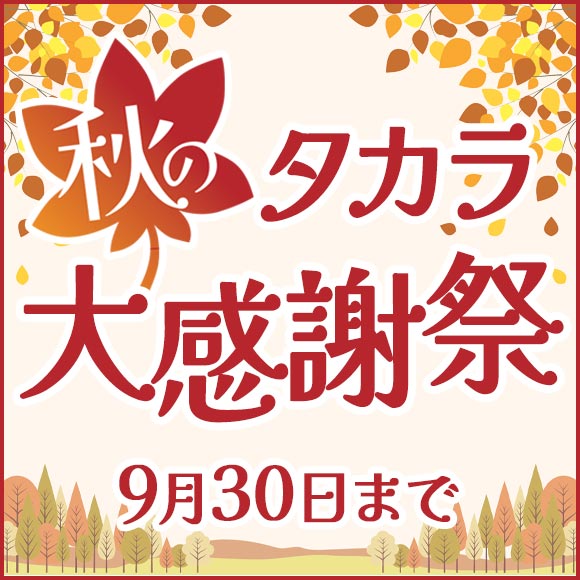 現在開催中のセールはこちら！