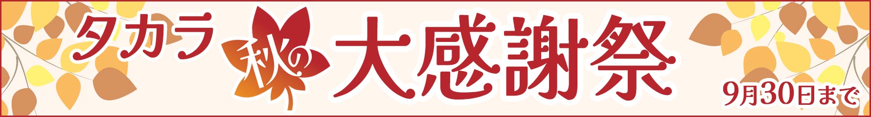 現在開催中のセールはこちら！