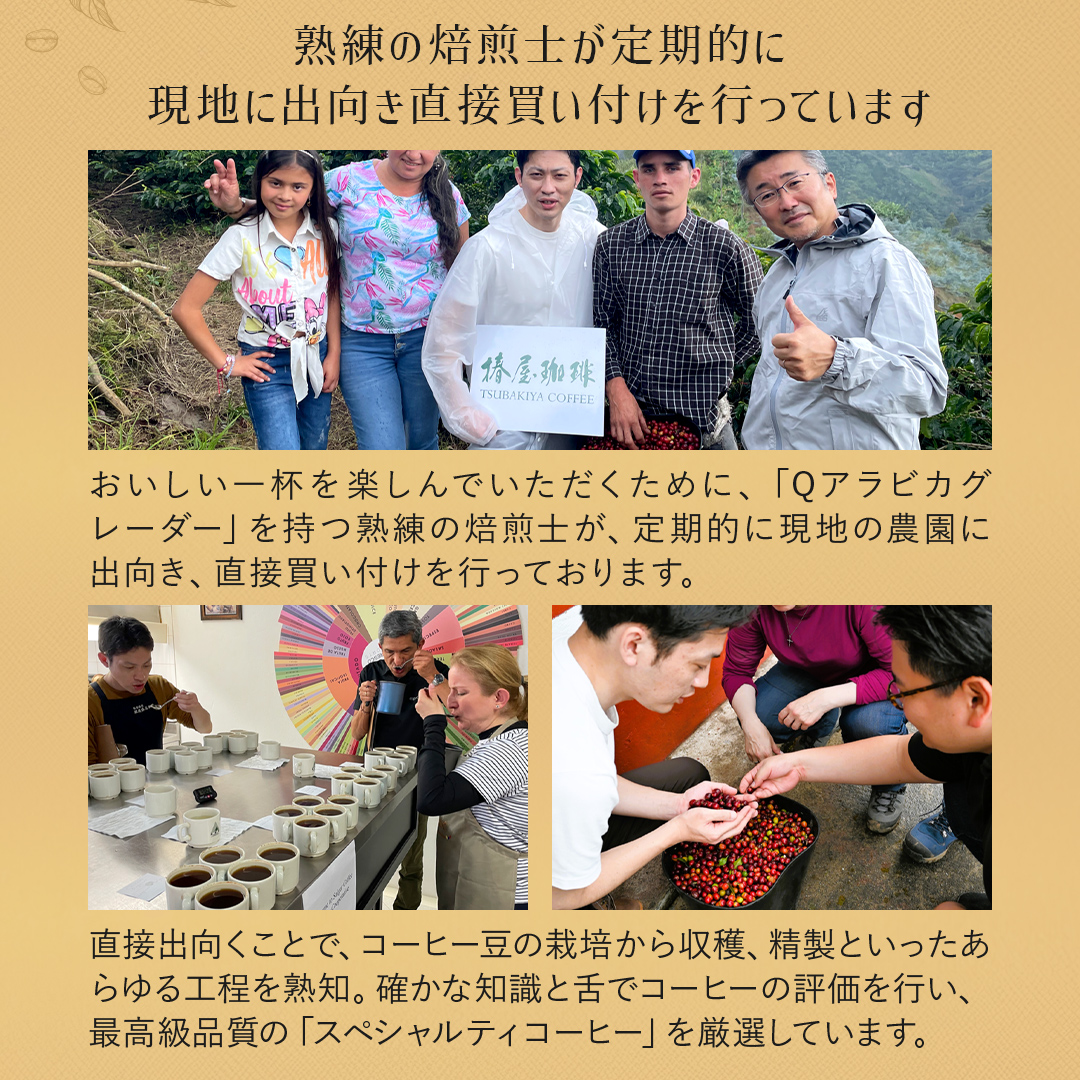 父の日 ギフト 選べる アイスコーヒーと カフェオレ の3本セット 自家