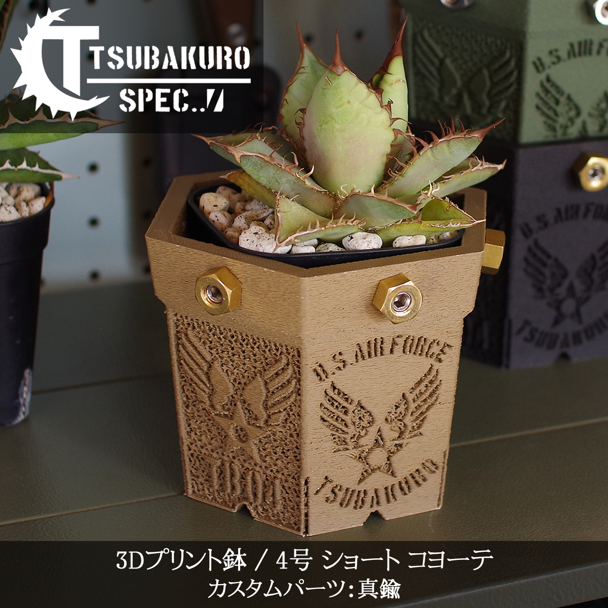 塊根植物鉢（植木鉢種類：浅鉢）のおすすめ人気商品一覧 通販 - Yahoo