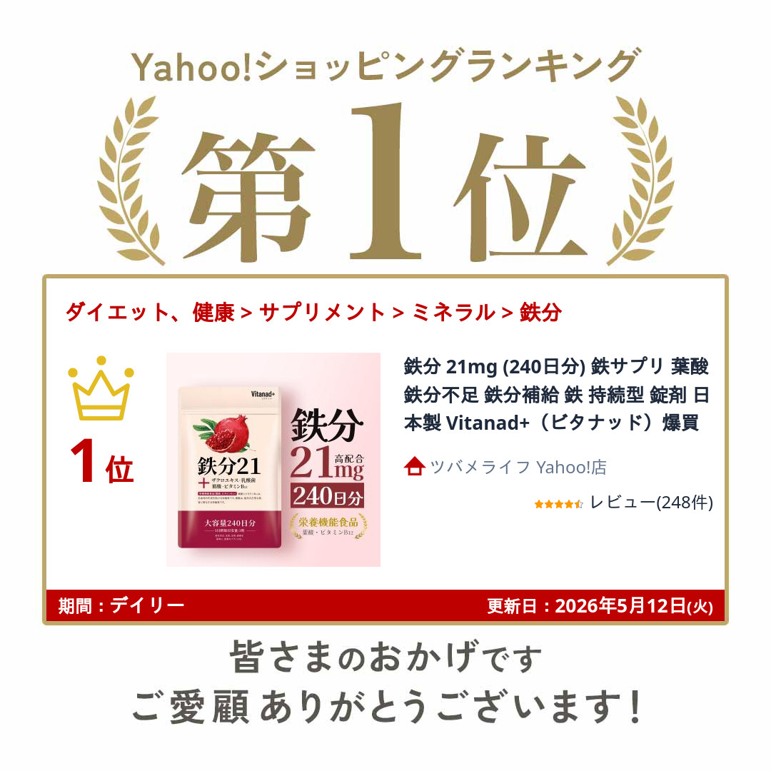 鉄分 21mg (240日分) 鉄サプリ 葉酸 鉄分不足 鉄分補給 鉄 持続型 錠剤 日本製 Vitanad+(ビタナッド)爆買 関連画像1