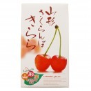 人気スポー新作 山形土産 人気No.1）山形さくらんぼきらら 12個入（山形県産 Reバース for you(リバースフォーユー)