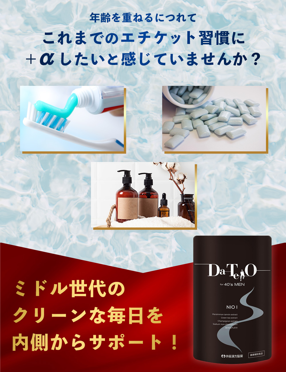 DA・TE・O NIO-I ダテオ エチケット サプリ シャンピニオン 30日分 90粒入 10個セット
