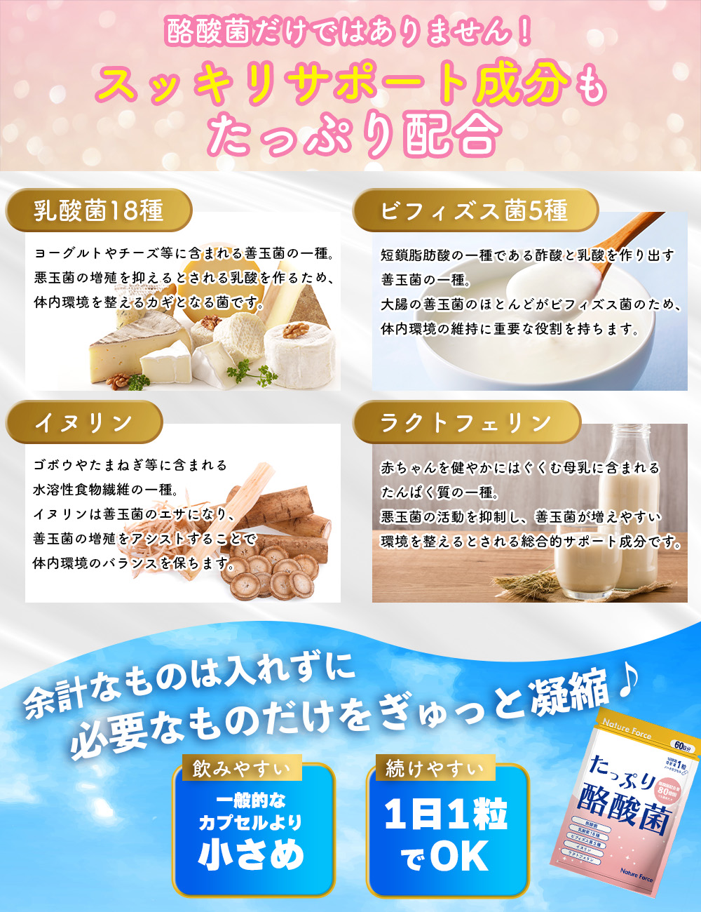 クーポン有 薬剤師監修 生きた酪酸菌 80億個 60日分 サプリ 乳酸菌 ネイチャーフォース たっぷり酪酸菌 3個セット_5