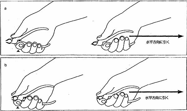 骨抜き名人 魚の骨抜き HSB-7S : 通販長谷川 - 通販 - Yahoo!ショッピング