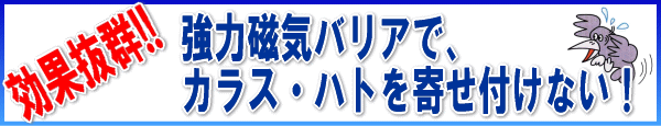 超強力磁気バリアでカラス・ハトを寄せ付けない！