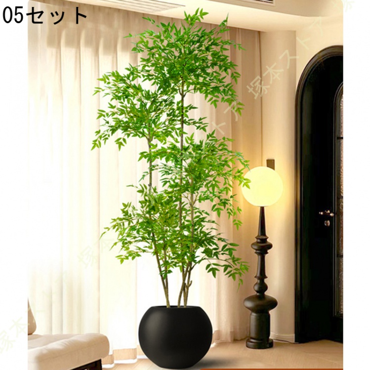 南天の木 鉢植え（花、ガーデニング）のおすすめ人気商品一覧 通販