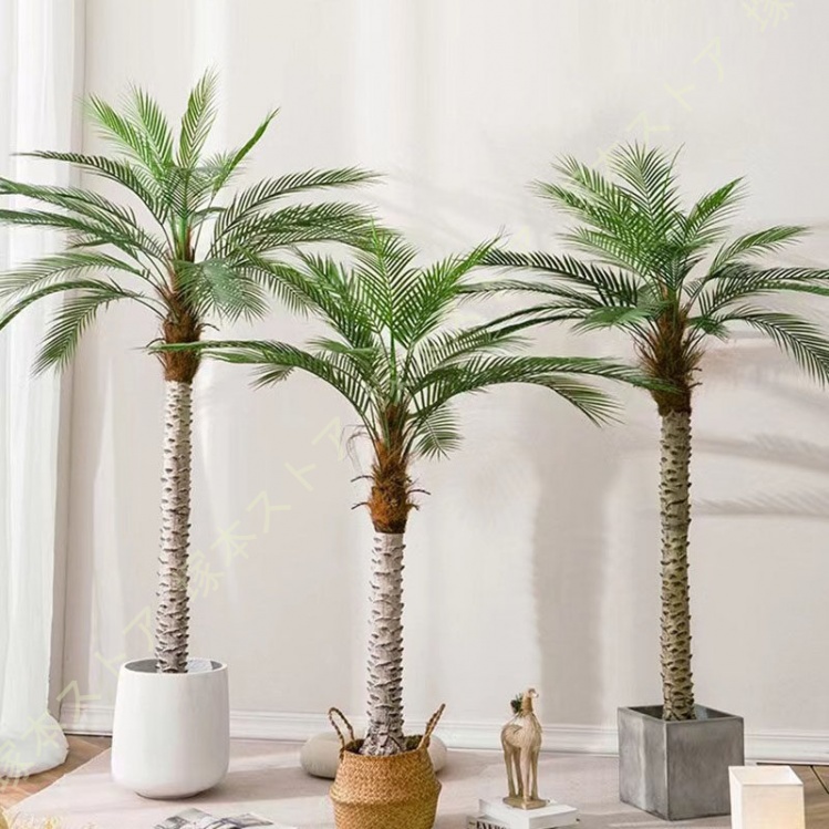椰子の木ダミー＋絵画セット 人工観葉植物 フェイクグリーン ヤシ パーム ヤシの木 ココナッツの木