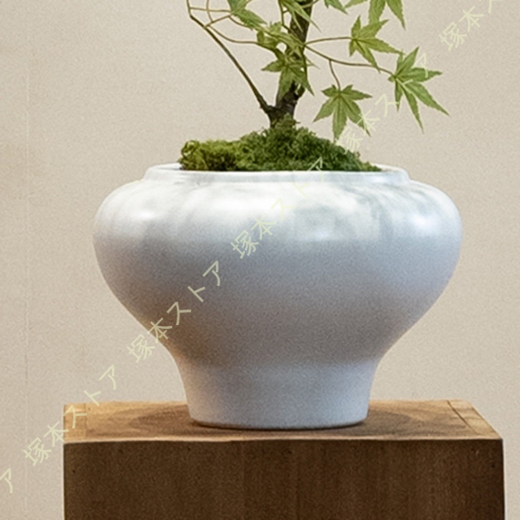 フェイクグリーン 卓上 楓の木 禅の装飾品 人工観葉植物 人工盆栽 玄関
