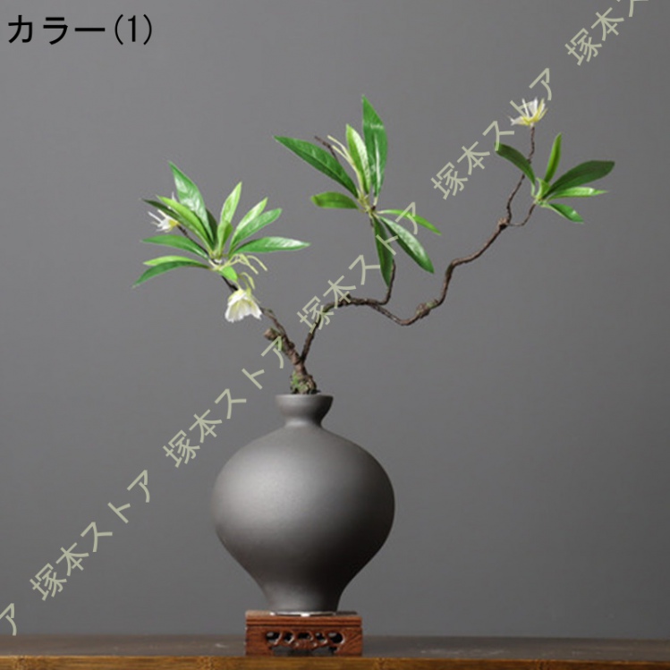 ガジュマル 盆栽の商品一覧 通販 - Yahoo!ショッピング