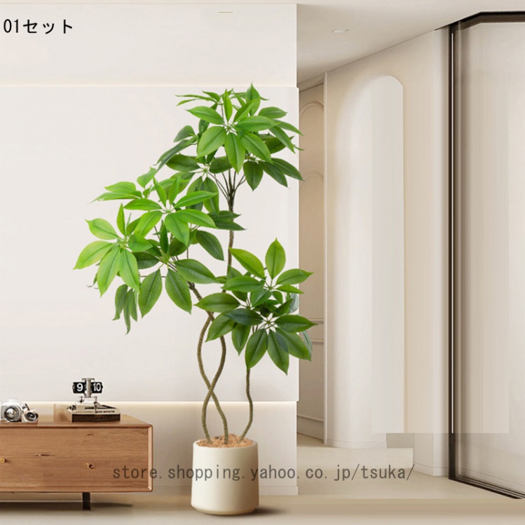 シェフレラ 大型（花、ガーデニング）の商品一覧 通販 - Yahoo