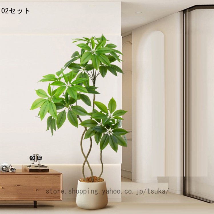 シェフレラ 大型（花、ガーデニング）の商品一覧 通販 - Yahoo
