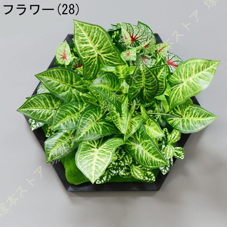 ウォールグリーン フェイクグリーン 壁掛け 人工観葉植物 北欧風 オシャレ かわいい ディスプレイ インテリア装飾 ミニサボテン 壁飾り 人工観葉植物 緑 植物 ウォールグリーン 人工観葉植物