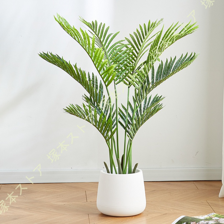 観葉植物 白い花（人工観葉、フェイクグリーン） | 花